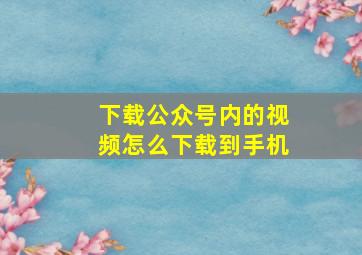 下载公众号内的视频怎么下载到手机