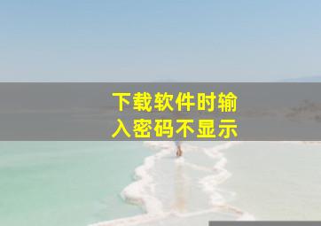 下载软件时输入密码不显示