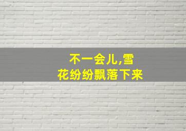 不一会儿,雪花纷纷飘落下来