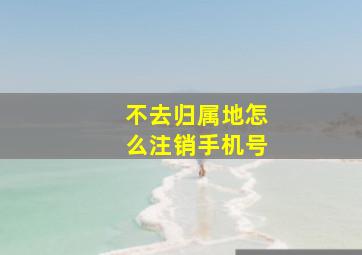 不去归属地怎么注销手机号