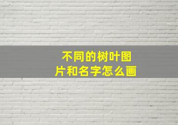 不同的树叶图片和名字怎么画