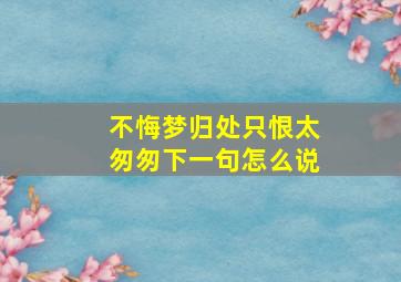 不悔梦归处只恨太匆匆下一句怎么说