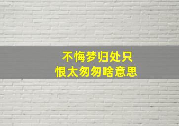 不悔梦归处只恨太匆匆啥意思