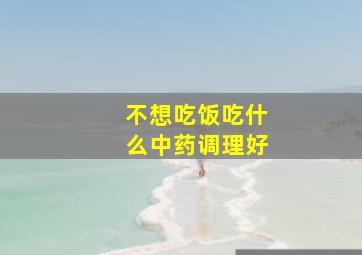 不想吃饭吃什么中药调理好