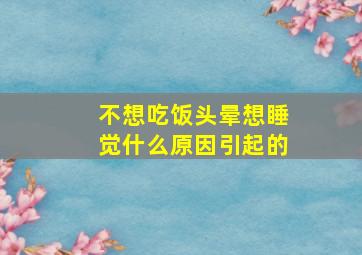 不想吃饭头晕想睡觉什么原因引起的