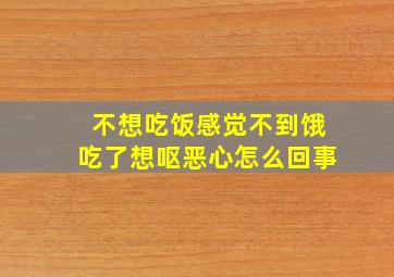 不想吃饭感觉不到饿吃了想呕恶心怎么回事