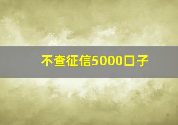 不查征信5000口子