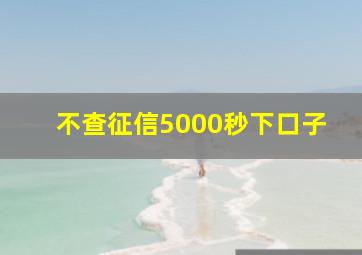 不查征信5000秒下口子