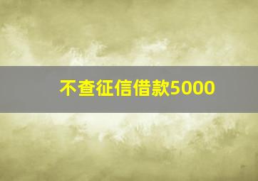 不查征信借款5000