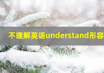 不理解英语understand形容词