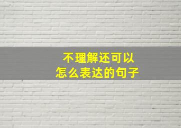 不理解还可以怎么表达的句子