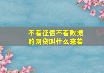 不看征信不看数据的网贷叫什么来着