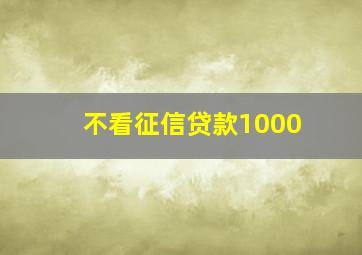 不看征信贷款1000