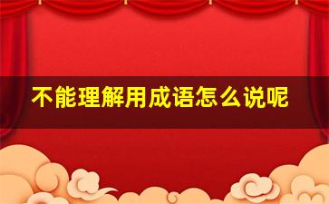 不能理解用成语怎么说呢