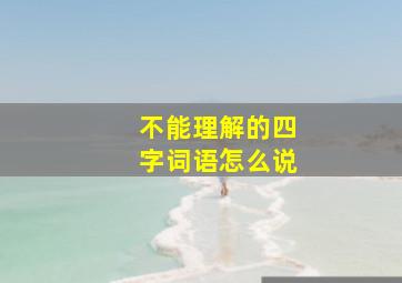 不能理解的四字词语怎么说