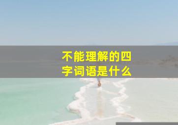 不能理解的四字词语是什么