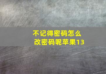 不记得密码怎么改密码呢苹果13