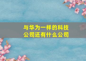 与华为一样的科技公司还有什么公司