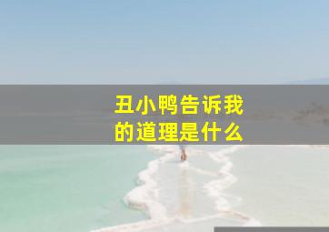 丑小鸭告诉我的道理是什么