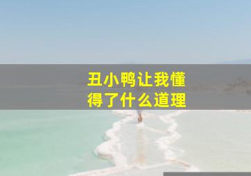 丑小鸭让我懂得了什么道理