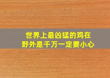 世界上最凶猛的鸡在野外是千万一定要小心