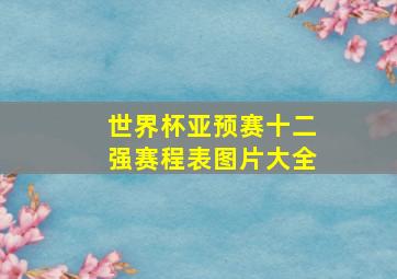 世界杯亚预赛十二强赛程表图片大全