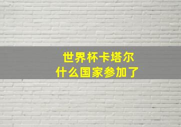 世界杯卡塔尔什么国家参加了