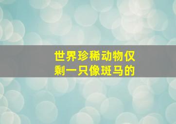 世界珍稀动物仅剩一只像斑马的