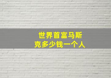 世界首富马斯克多少钱一个人