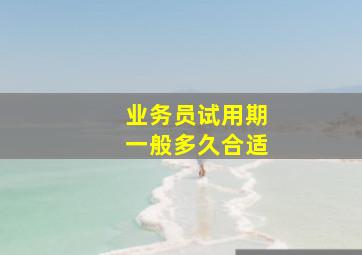 业务员试用期一般多久合适