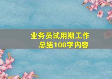 业务员试用期工作总结100字内容