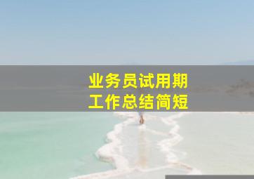 业务员试用期工作总结简短