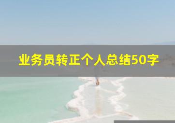 业务员转正个人总结50字