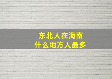 东北人在海南什么地方人最多