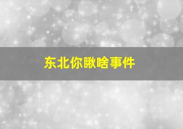 东北你瞅啥事件