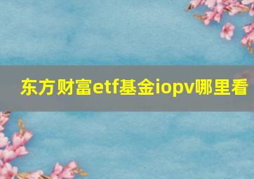 东方财富etf基金iopv哪里看