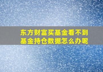 东方财富买基金看不到基金持仓数据怎么办呢