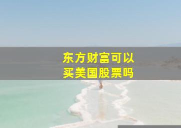 东方财富可以买美国股票吗