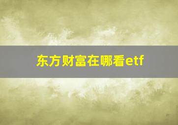 东方财富在哪看etf