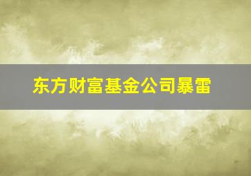 东方财富基金公司暴雷