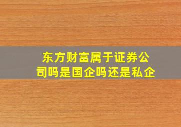 东方财富属于证券公司吗是国企吗还是私企