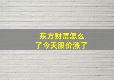 东方财富怎么了今天股价涨了