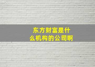 东方财富是什么机构的公司啊