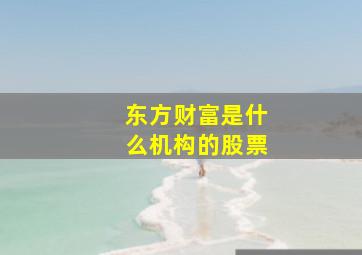 东方财富是什么机构的股票