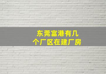 东莞富港有几个厂区在建厂房