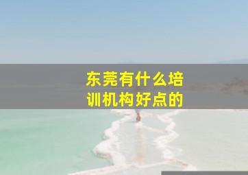 东莞有什么培训机构好点的