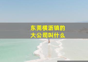 东莞横沥镇的大公司叫什么