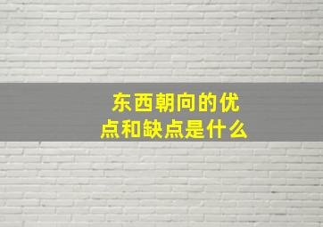 东西朝向的优点和缺点是什么