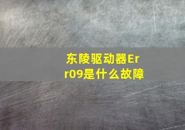 东陵驱动器Err09是什么故障