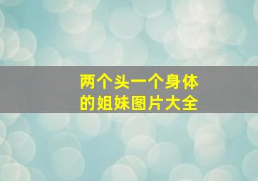 两个头一个身体的姐妹图片大全